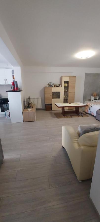 Ferienwohnung Apartament Nina Năvodari Exterior foto